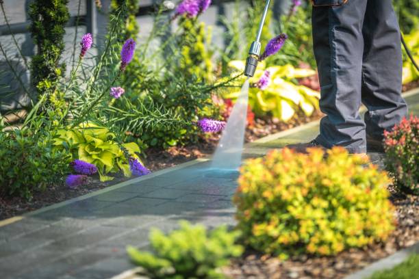Best Winterizing Services  in Lake Belvedere Estates, FL