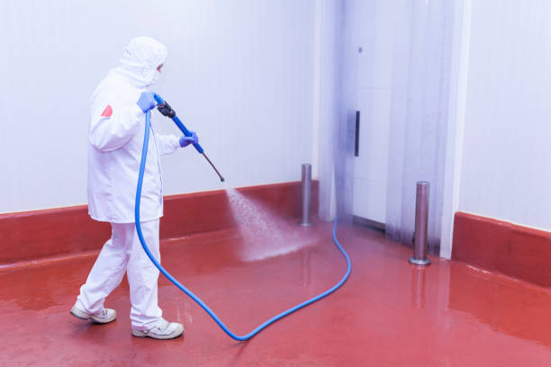 Professional Pressure Washing in Lake Belvedere Estates, FL