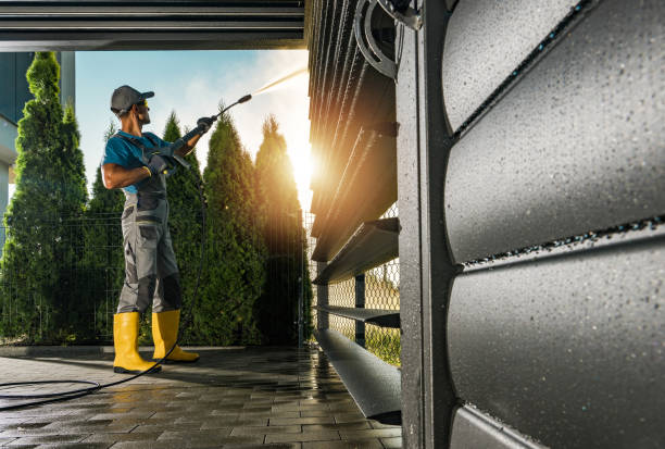 Best Graffiti Removal  in Lake Belvedere Estates, FL